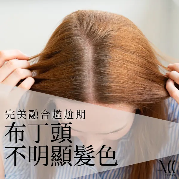 布丁頭不明顯髮色、修飾布丁頭方法