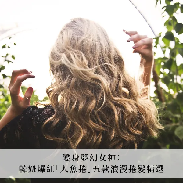 美人魚捲